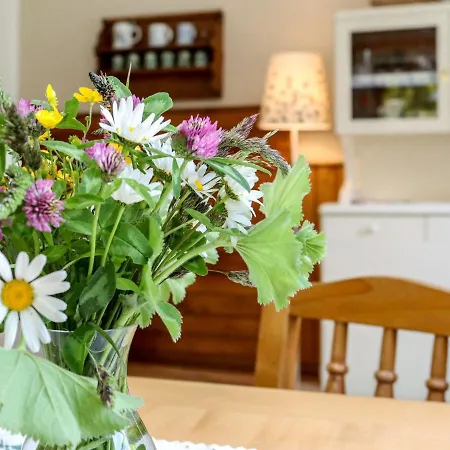 Richter By Interhome * Zistl